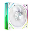 丛林豹星石V1 白色正叶