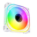 loving cool 云脉 白色反叶