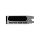 丽台RTX 5000 Ada 图片 4