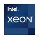 Intel Xeon W-11855M
