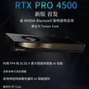 NVIDIA RTX PRO 4500 Blackwell 图片 2