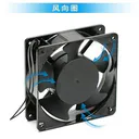pindai（品代）DP200A 标准 图片 3