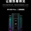 alseye M120D Plus 图片 3