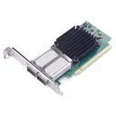 Mellanox MCX456A-ECAT