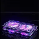晶颜TL-XTR5460 图片 4