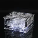 晶颜R9 图片 3