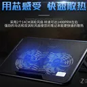 诺西M2 图片 3